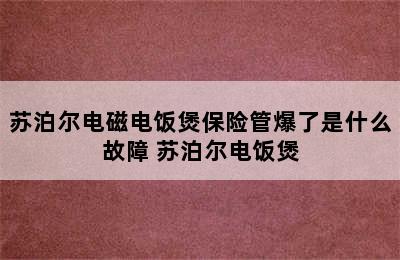 苏泊尔电磁电饭煲保险管爆了是什么故障 苏泊尔电饭煲